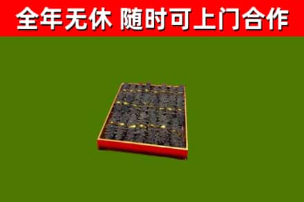 龙胜回收海参